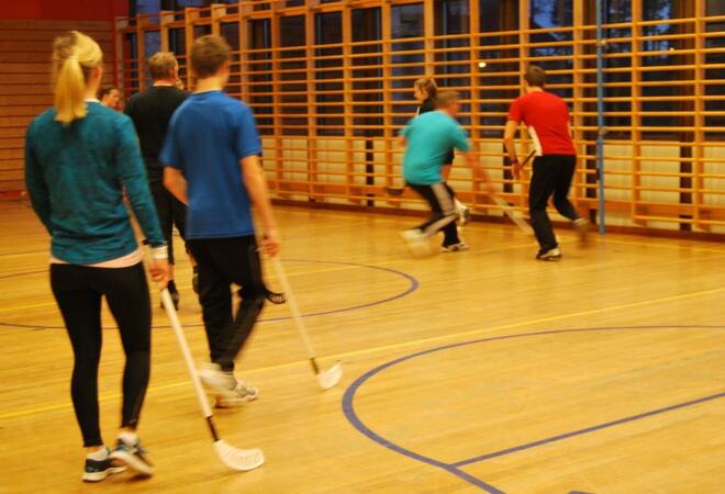 folk spelar landhockey. foto