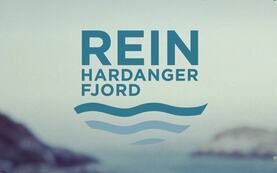 Rein hardangerfjord