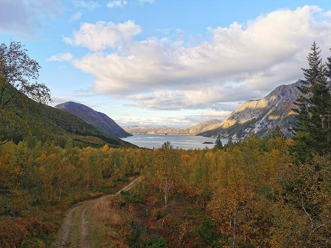 Utsikt fra Heitevierra i Musken