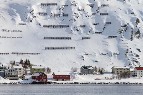 Snøskjermer på Andresia i Kjøllefjord. Foto: Christoffer Robin Jensen