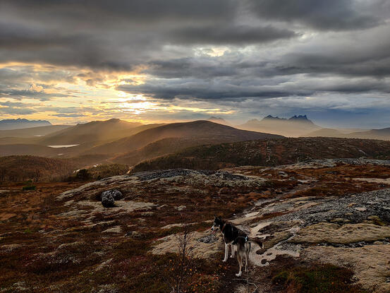 Ulvsvågskaret med utsikt fra Jensvasskollen. Foto: Emil Risvik Buseth