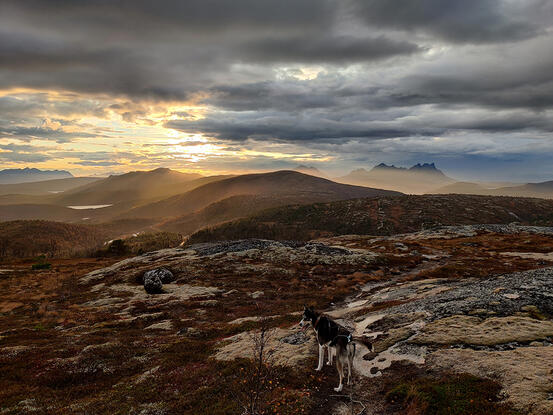 Ulvsvågskaret med utsikt fra Jensvasskollen