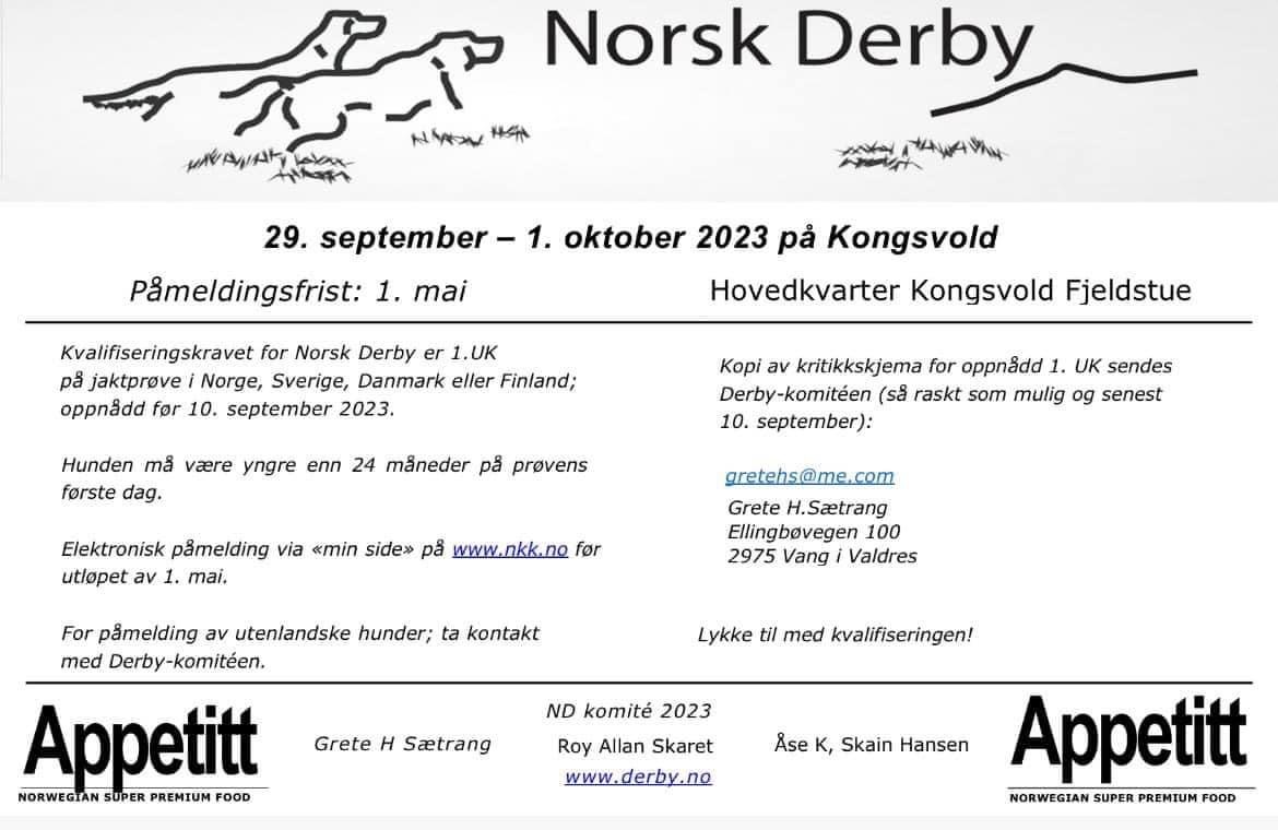 Norsk derby 2023.jpeg