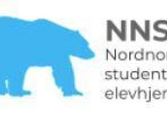 NNSE