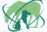 Grønn illustrasjon med hest, hund og katt