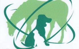 Grønn illustrasjon med hest, hund og katt