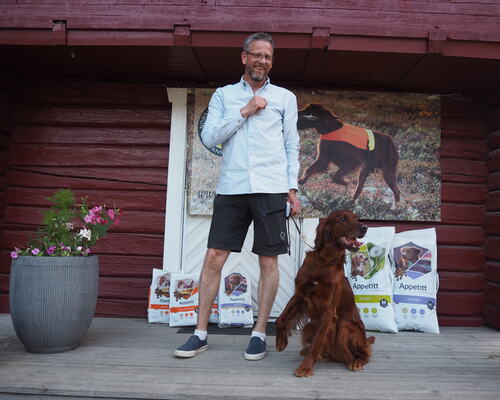 Championklasse Hannhund - N UCH N J(K)CH Red Dubliner Efs Lurifaks