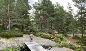 Eit barn går på ei lita trebru i skogen