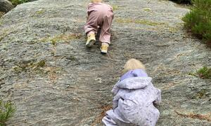 barn klatrer på berg i haugen