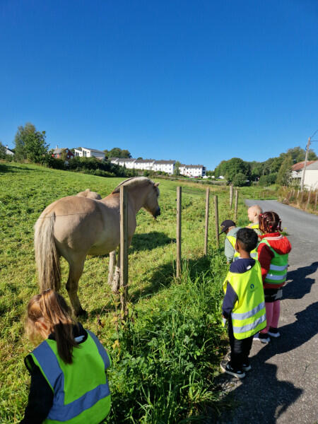 Barn står ved gjerde og ser på ein hest