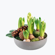 220733_blomster_planter