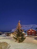 Bilde av juletre på torget i Kjøllefjord