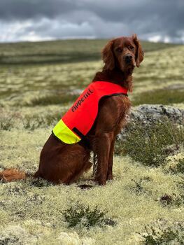 Bålholmens Nordavind