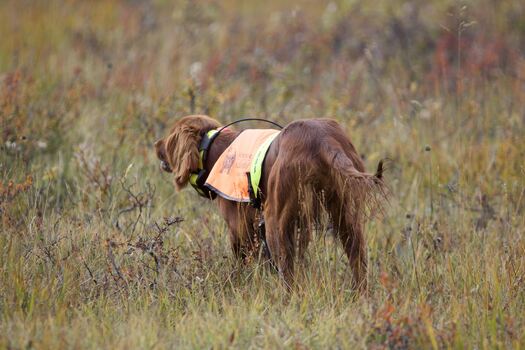 377122388_867363608297481_6585877506587425849_n (1)