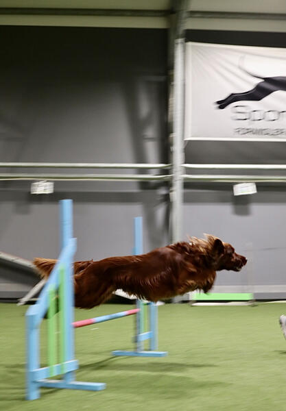 agility