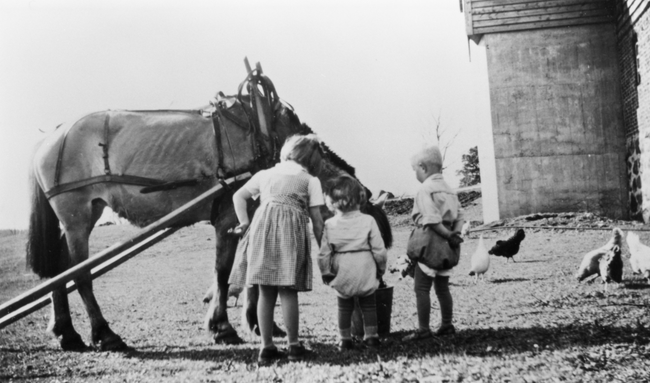 Gamalt svart-kvitt bilete av tre barn og ein hest med arbeidsutstyr. I bakgrunn går det høner