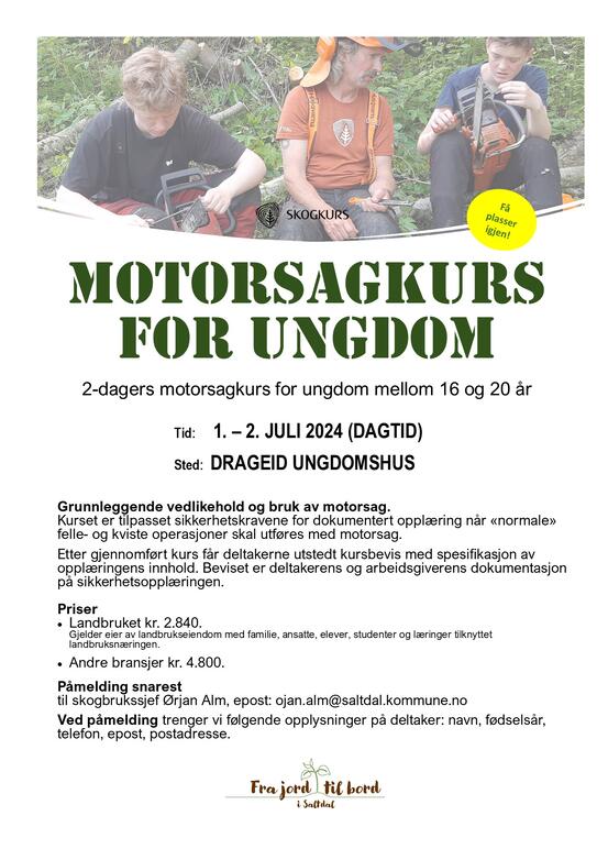 Kurs motorsag