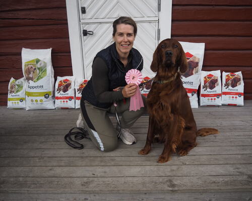 Klassevinner - Åpen Klasse Hannhund Imingens Ms Vinter