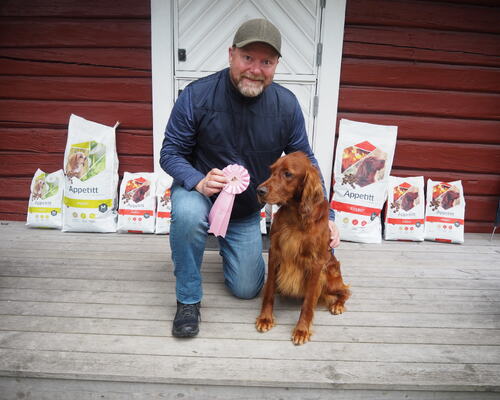 Klassevinner - Brukshundklasse Hannhund Rastaskogens Eikou Enzo