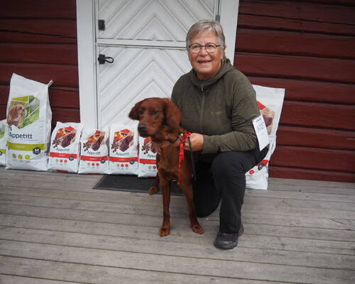 Klassevinner - Junior Klasse Tispe Heggelifjellets Vf Enja