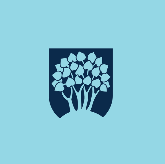 Kommunevåpen