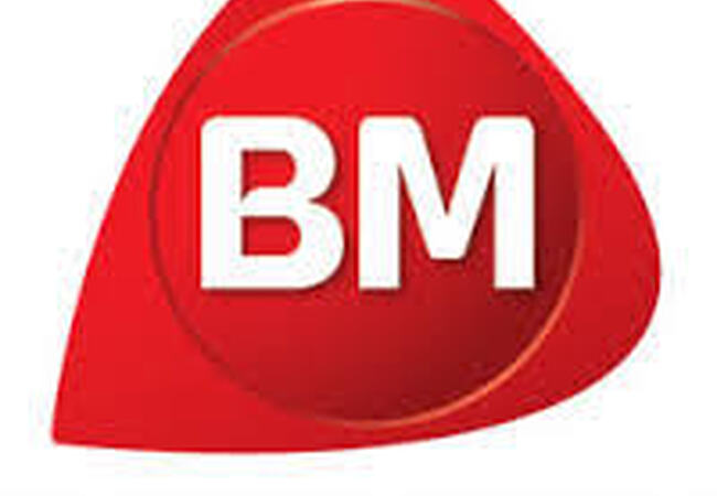 byggmakker_logo