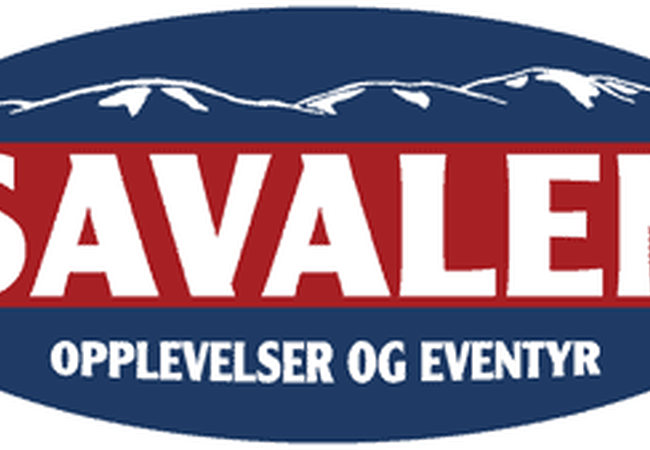 logo-savalen