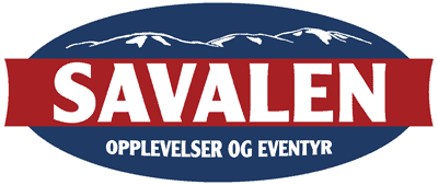 logo-savalen