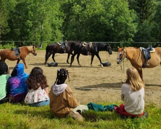 Fem barn sitter og ser på fire hester ute på gård