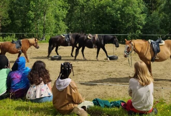 Fem barn sitter og ser på fire hester ute på gård