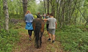 Ungdomer går med hest i skogen