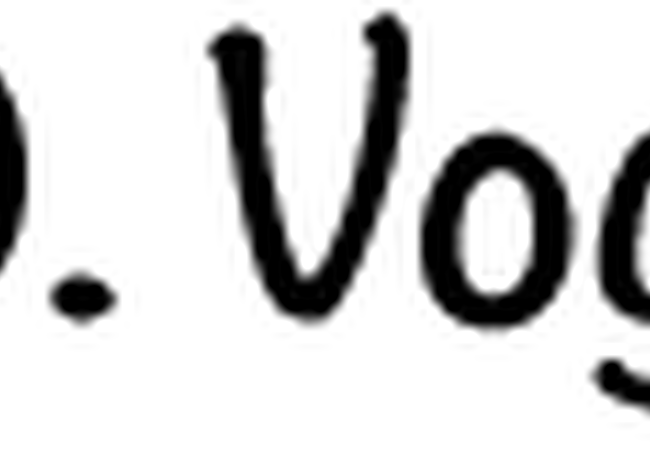 john vognild-logo