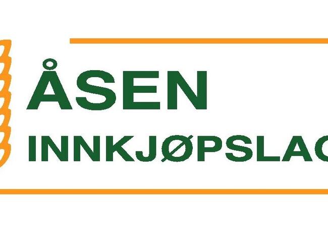 åsen innkjøp[1]