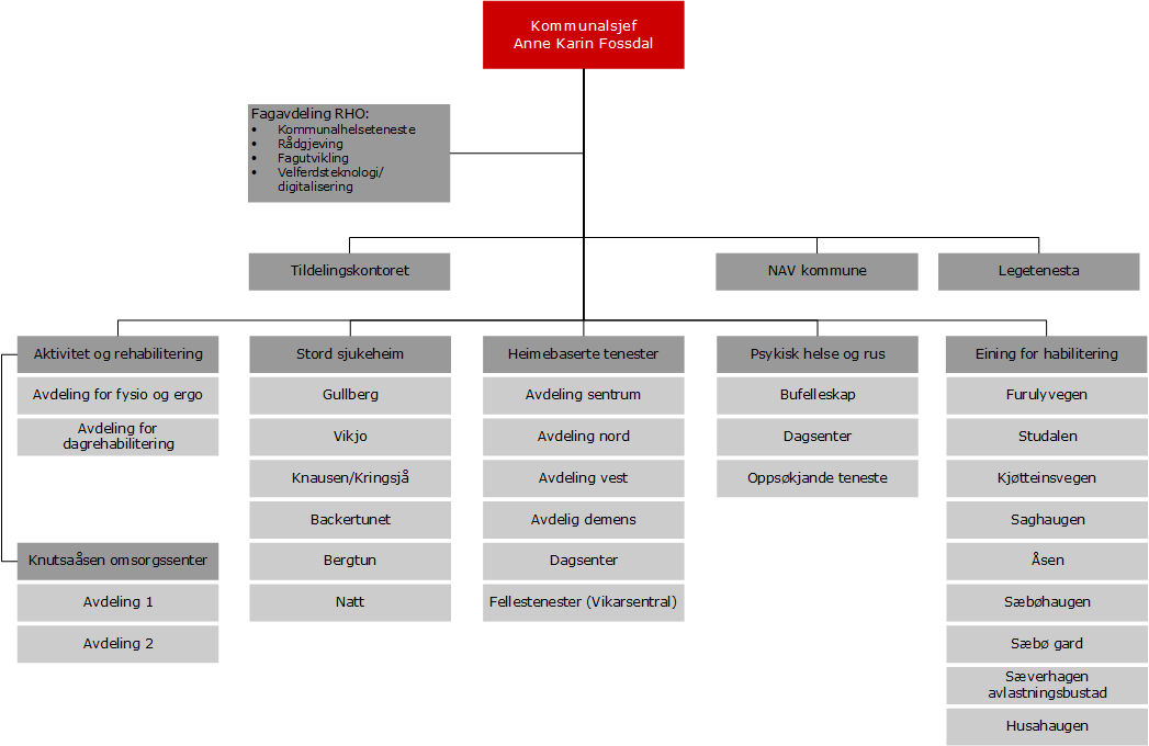 Organisasjonskart for RHO området