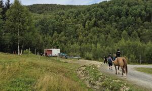 Barn rir på hest i sommer vær