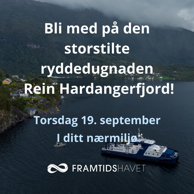 Bilete av båt på fjord.