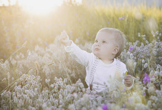 blond baby in cowboy costume in the field