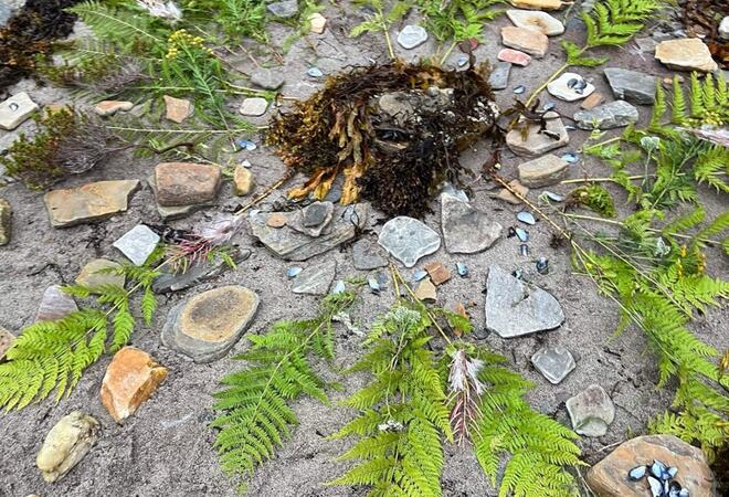 Naturbilde i sirkel med elementer av stein, bregner, skjell