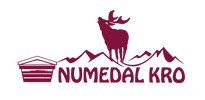 Logo-NUMEDAL-KRO-QUADRI-WEB
