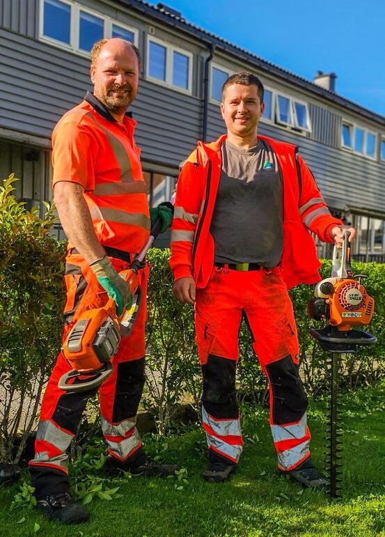 To voksne i oransje neon arbeidstøy står i en grønn hage ved en grønn hekk. I hendene holder de begge hvert sitt verktøy for å trimme hekken.