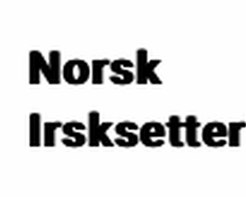 NISK_avd1_Logo