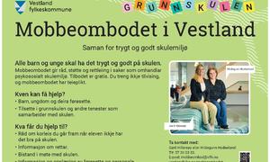 Skjermbilde 2024-11-05 140004