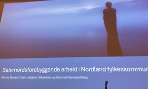 Stor skjermen med presentasjon fra Nordland fylkeskommune