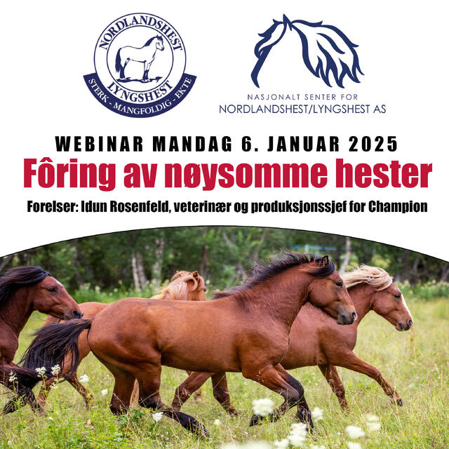 Webinar föring 2024 - banner