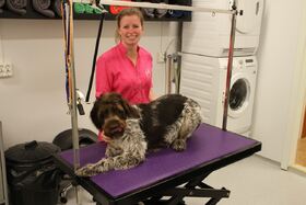 Pote Hundesalong AS prem[1]