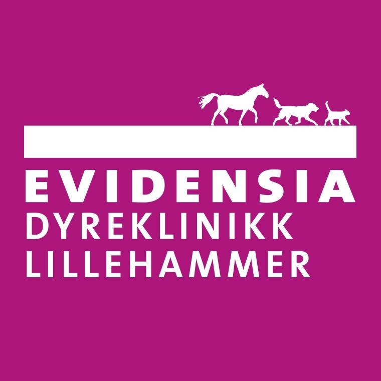 Evidensia Dyreklinikk Lillehammer