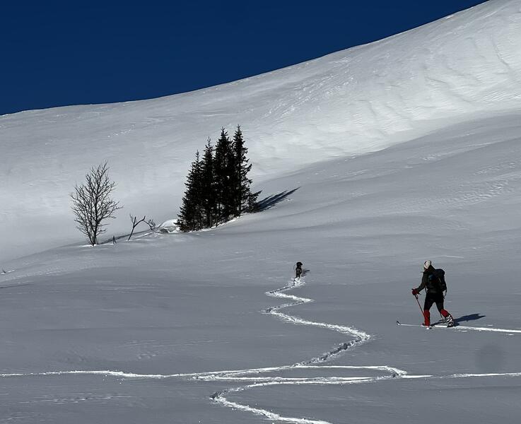 Instruktørkurs fase 2 vinter