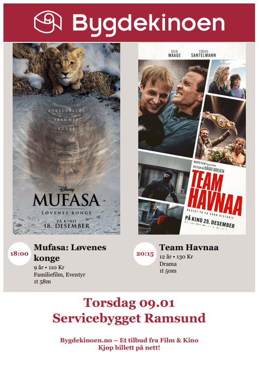 Mufasa og Team Havnaa