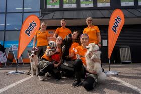 Pets Krizoo Tønsberg prem