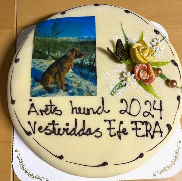 Kake Årets Hund 2024